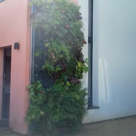 Maison Passive Et D'architecte