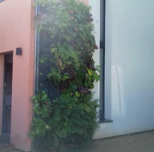 Maison Passive Et D'architecte